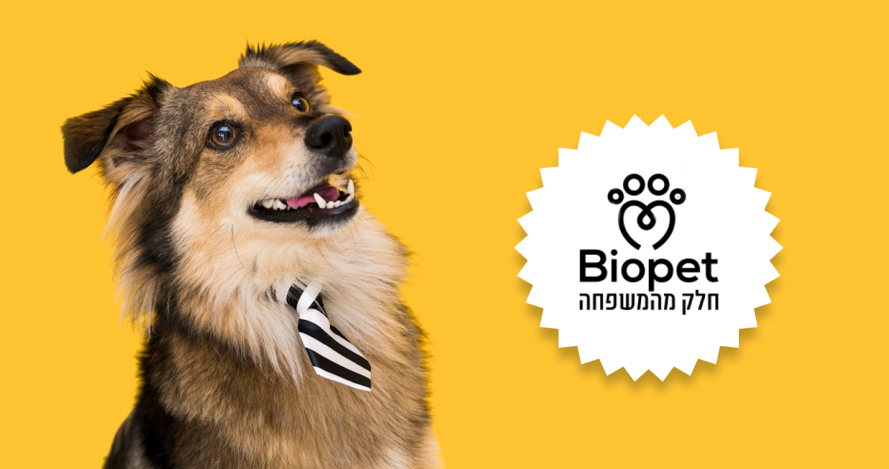 pet marketing agency delivered big results for Biopet